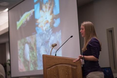 giving presentation from podium